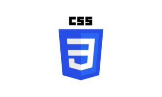 CSS logo